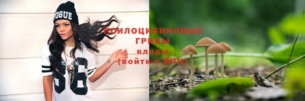 дмт Горно-Алтайск