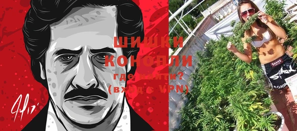 амф Горняк